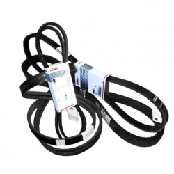 Ремінь 1569-10PK (504078068), 8010 87282305